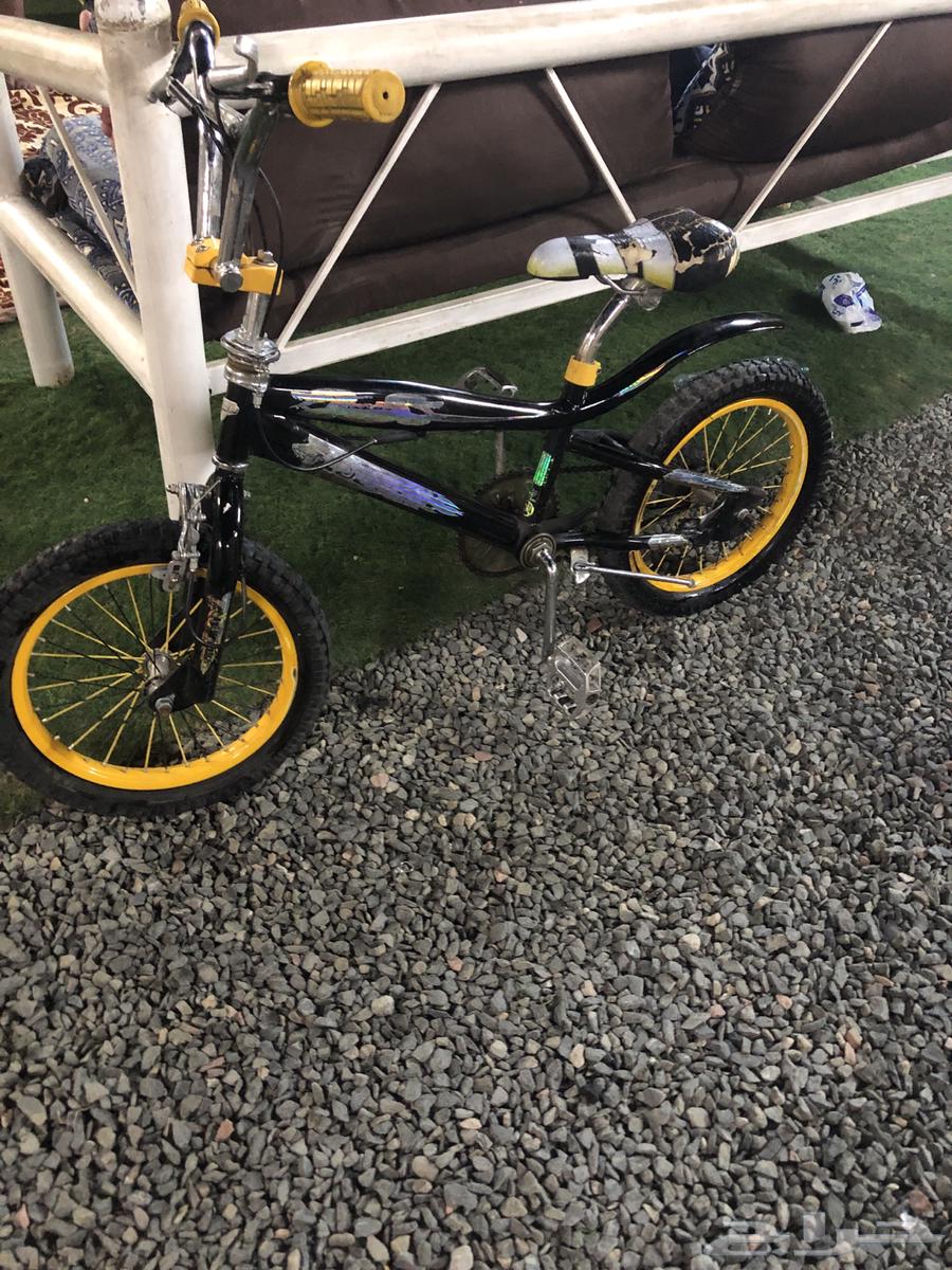 Cobra bicycle size 1664248490494849114