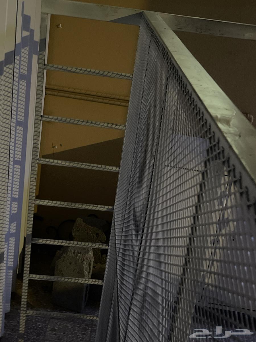 كرسي نفرين حديد جديد64252314187266111