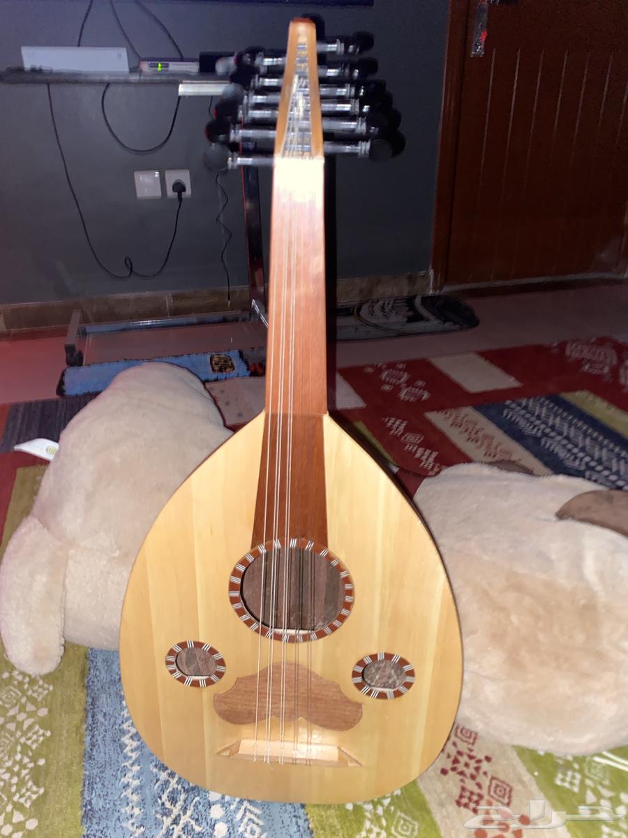 عود مبتدئين للبيع بحالة ممتازه جدا64254598380545111