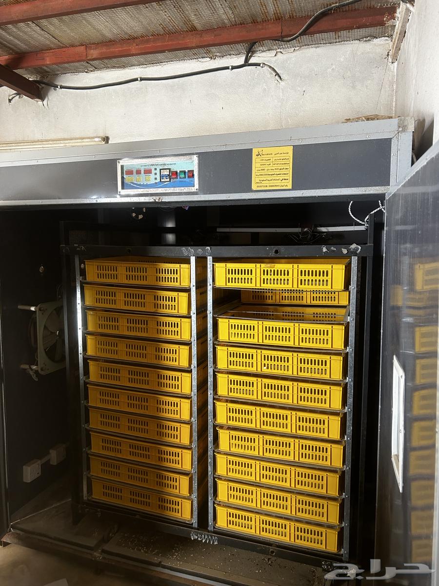 Incubator for sale with setters64242811936259112