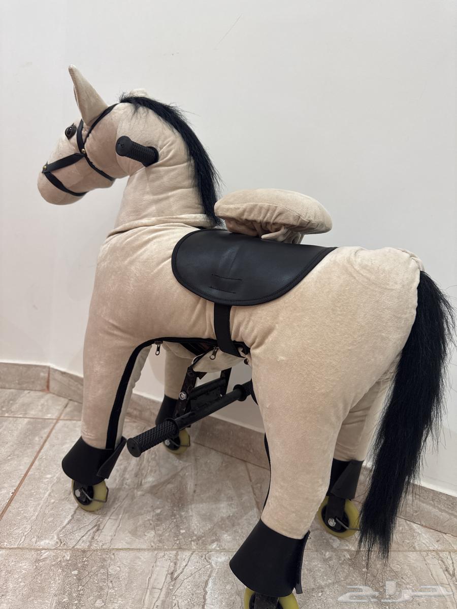 خيل اطفال للبيع64237079339778110