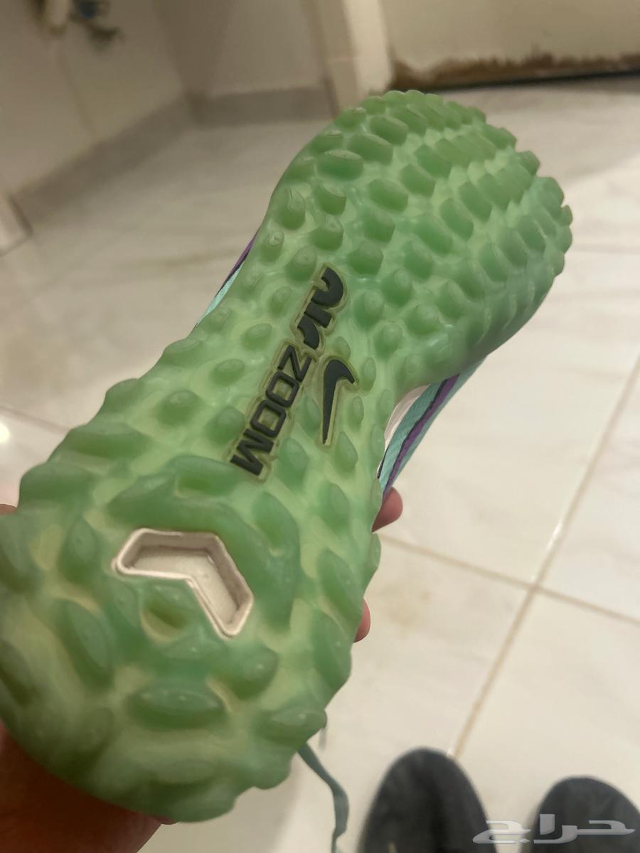 Bot64250587639170112