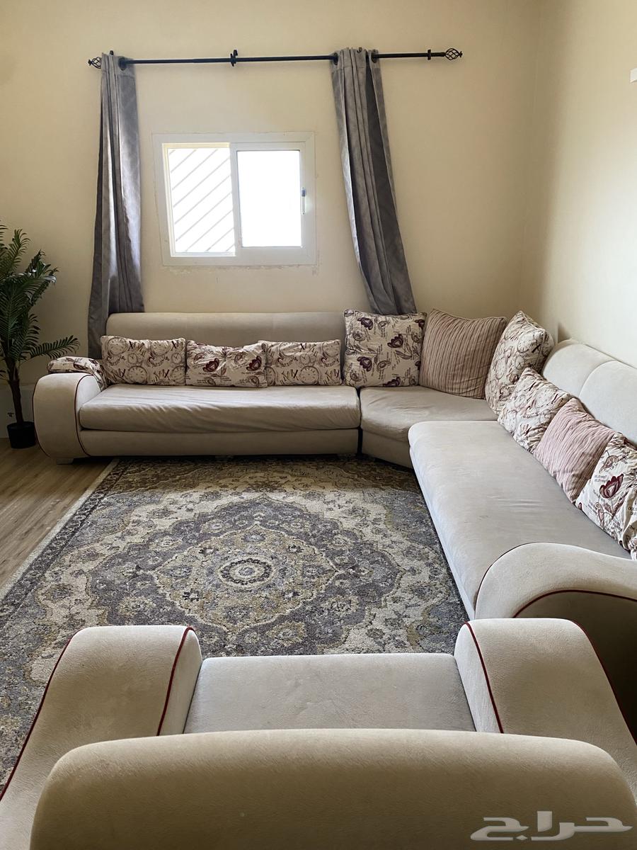 كنب64252024155011111