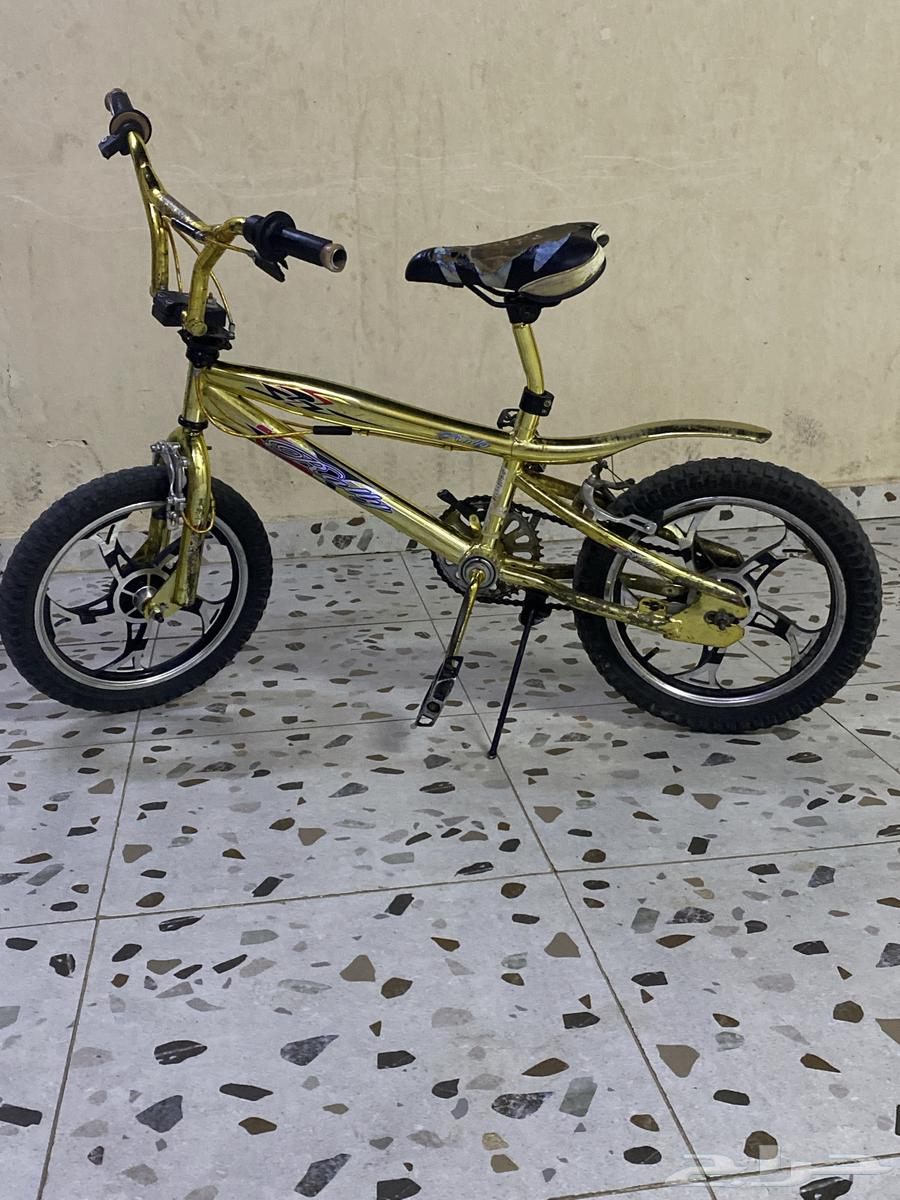 سيكل كوبرا. للبيع64232490609282110