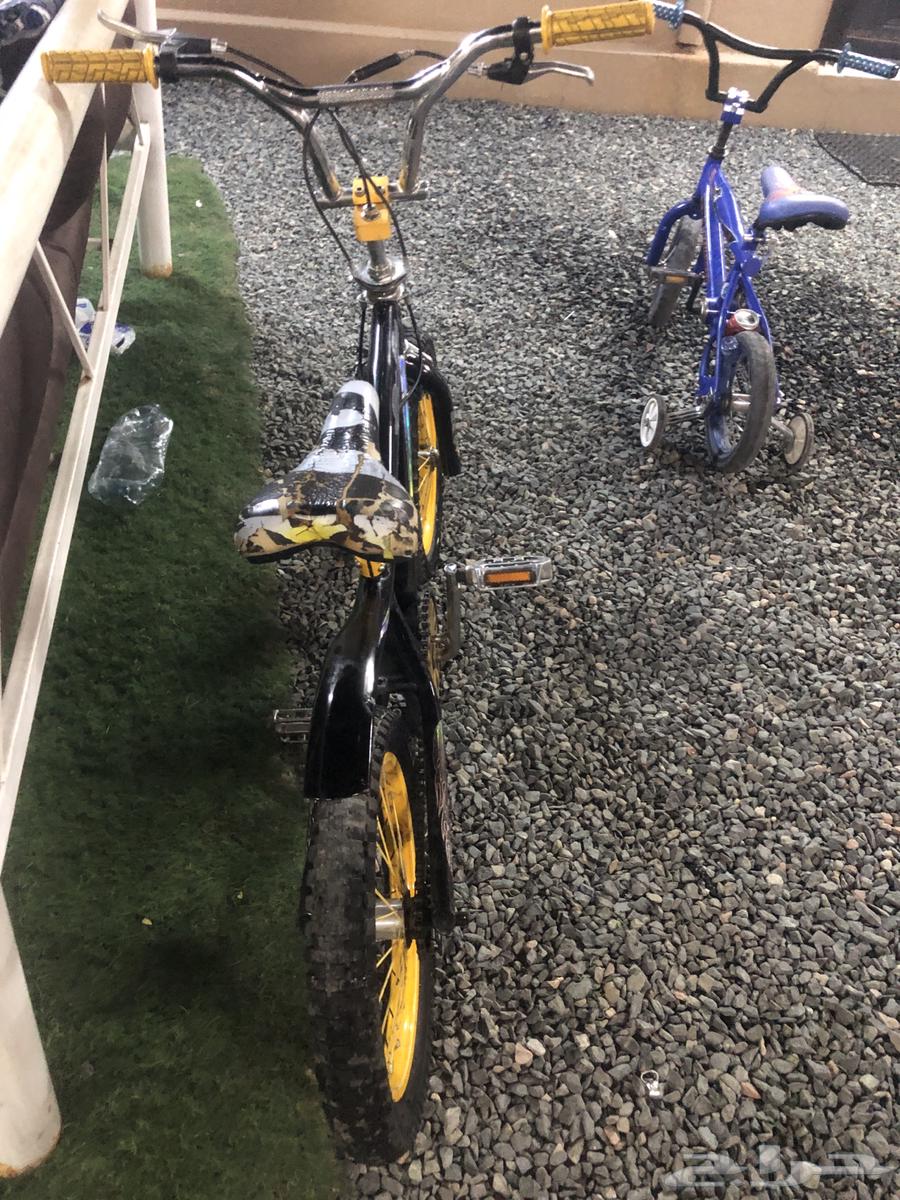 Cobra bicycle size 1664248490494849111