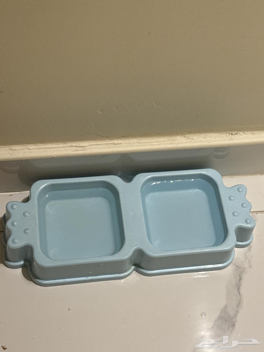 New cat items64234619845121110