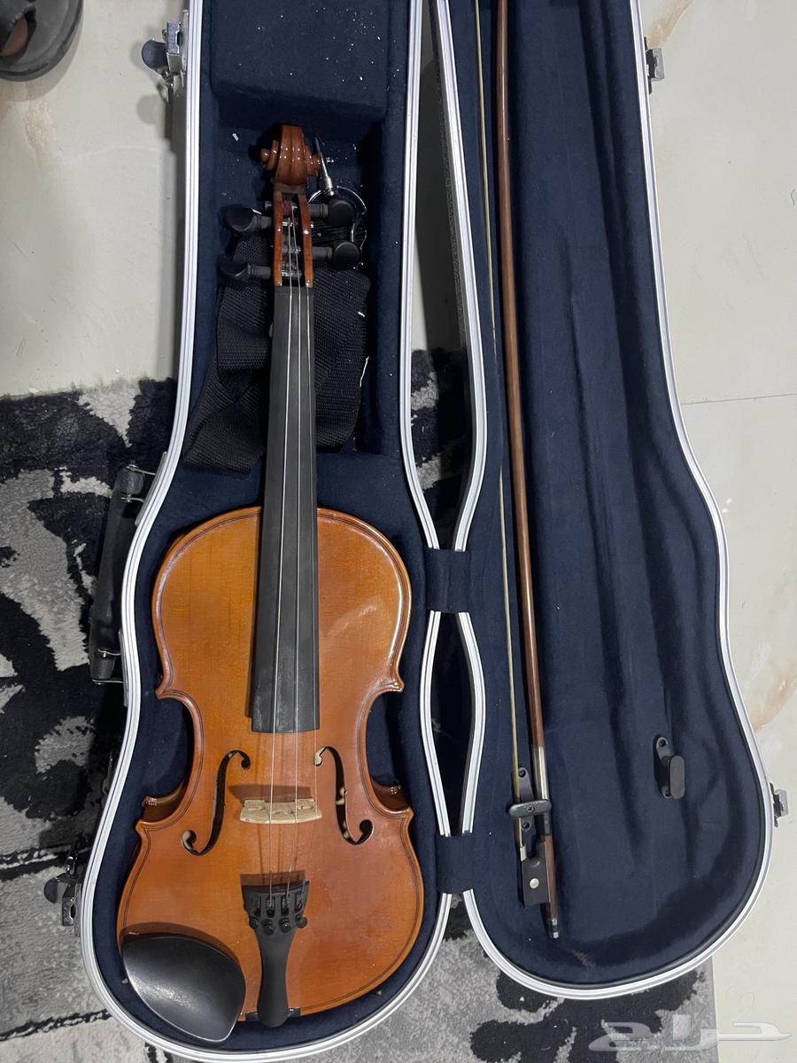 Violin64249424919169111