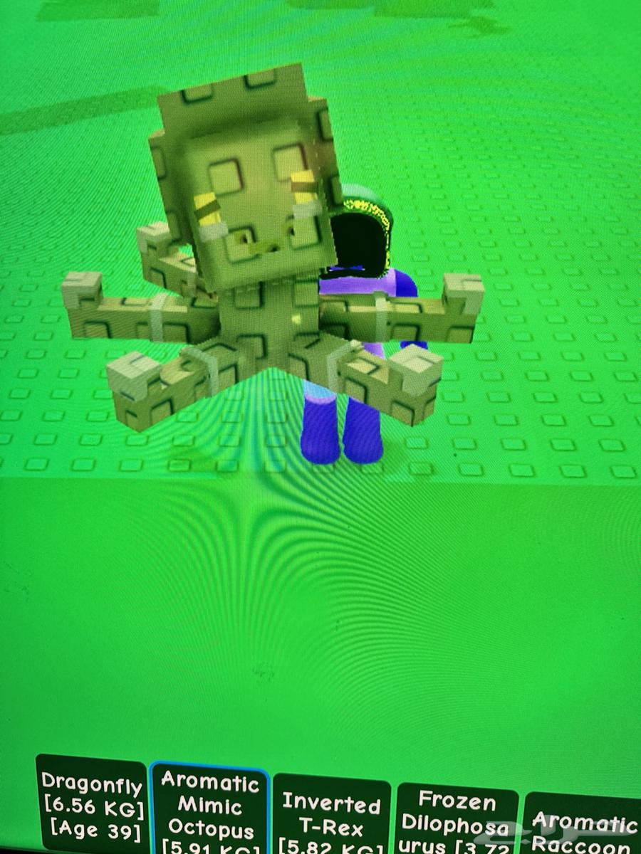 حيوانات قرو قاردن للبيع64247343313025110