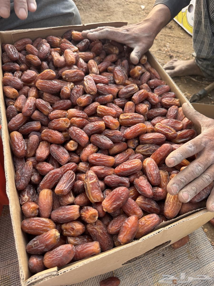 Zero Bananas Tripling64250927967107111