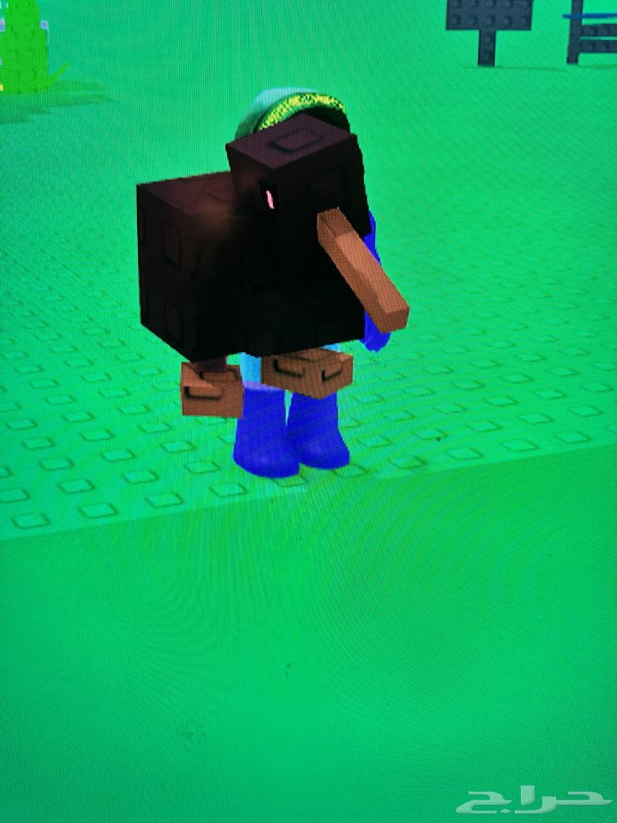 حيوانات قرو قاردن للبيع64247343313025113