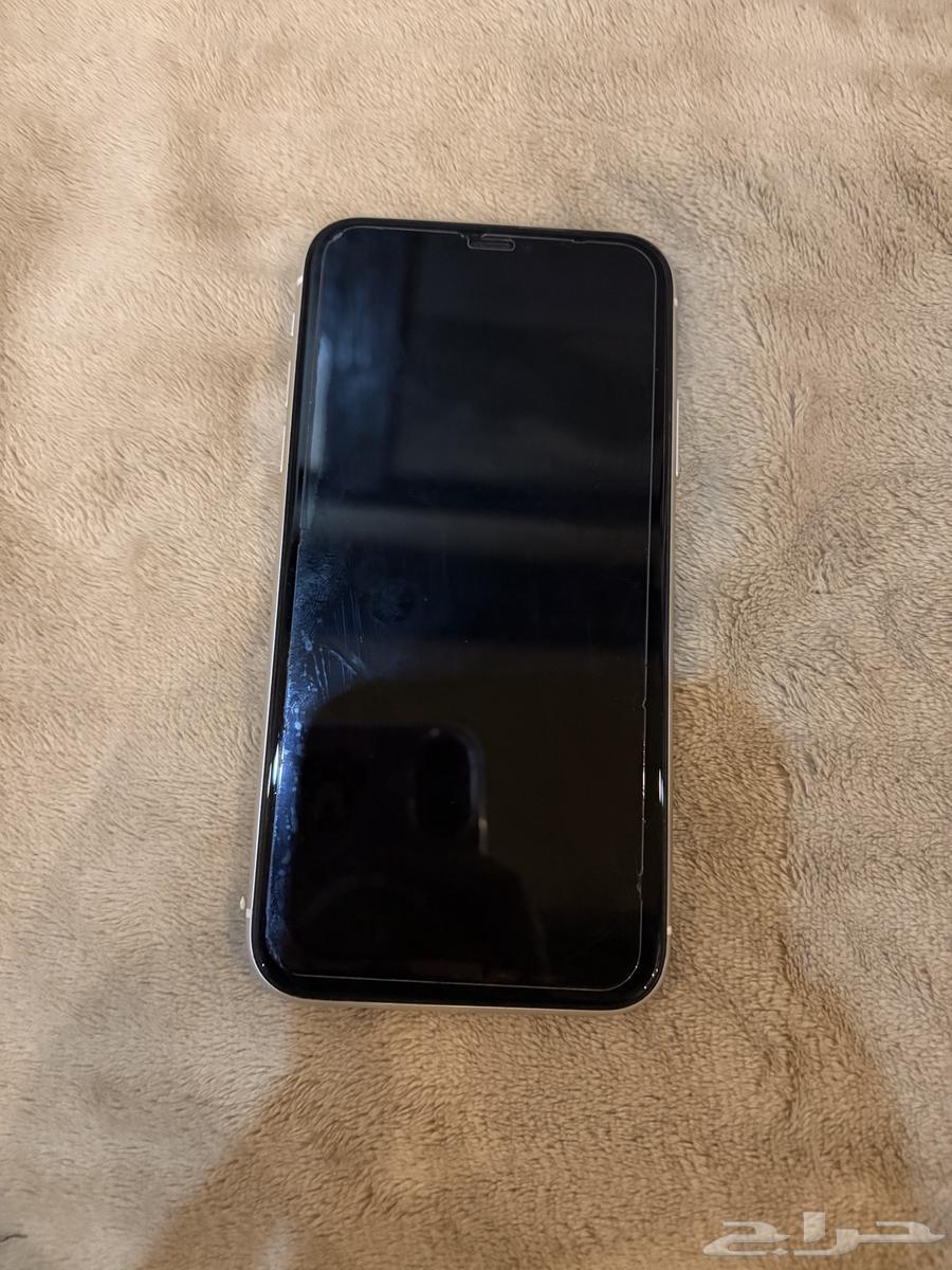 iPhone 11 Regular White Color64242629565826111