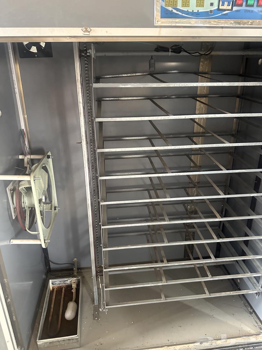 فقاسه عون المربي 1760 بيضه جديده ونظيفه ماستخدمت الا مرتين64251394204417112