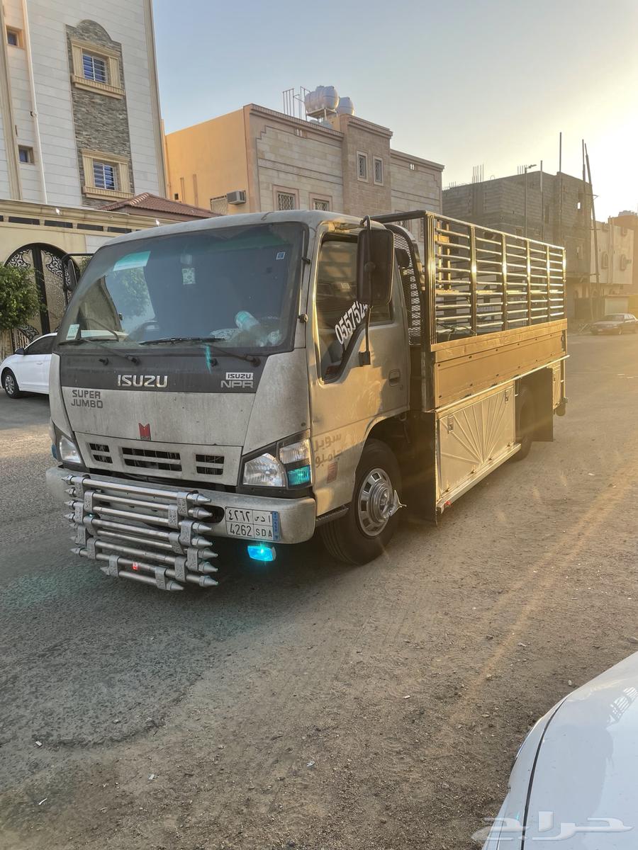 Dina Crane, Dina Winch, Dina Crane Taif64410187943427111