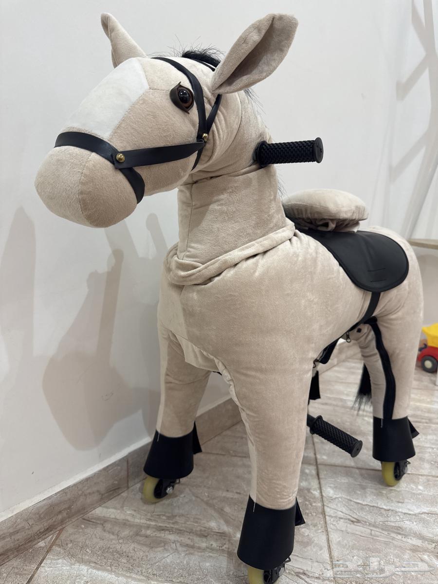 خيل اطفال للبيع64237079339778111