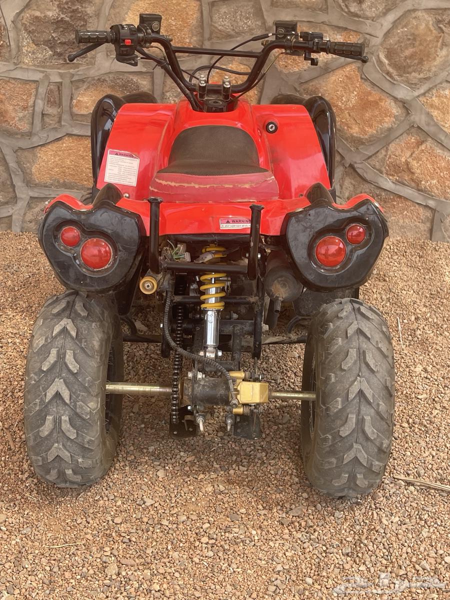 دباب للبيع64413904778627113