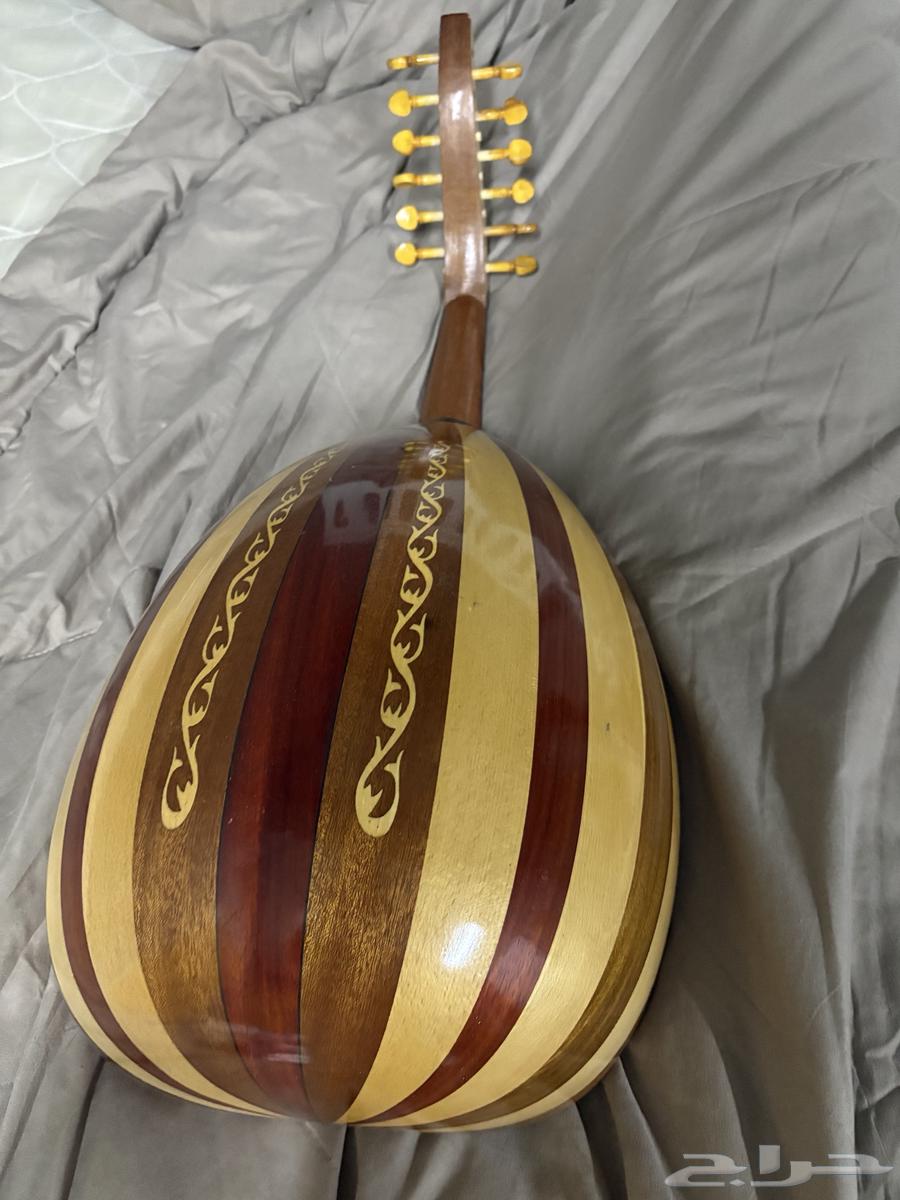 عود عزف مصري للبيع64246142048899111