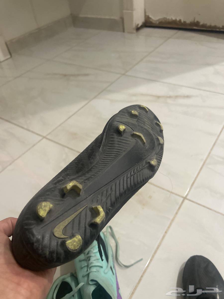 Bot64250587639170111