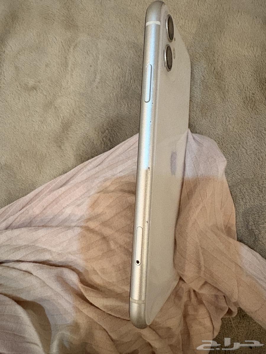 iPhone 11 Regular White Color64242629565826114