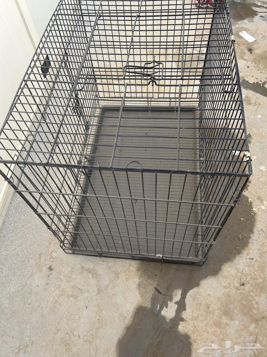 شبك حيوانات64237727098370111