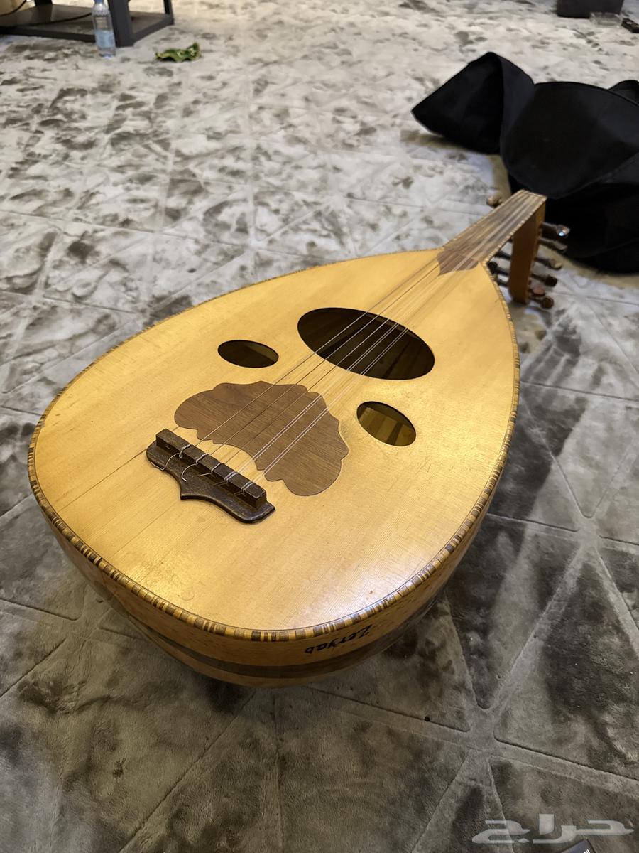 عود زرياب للبيع64249245113858110