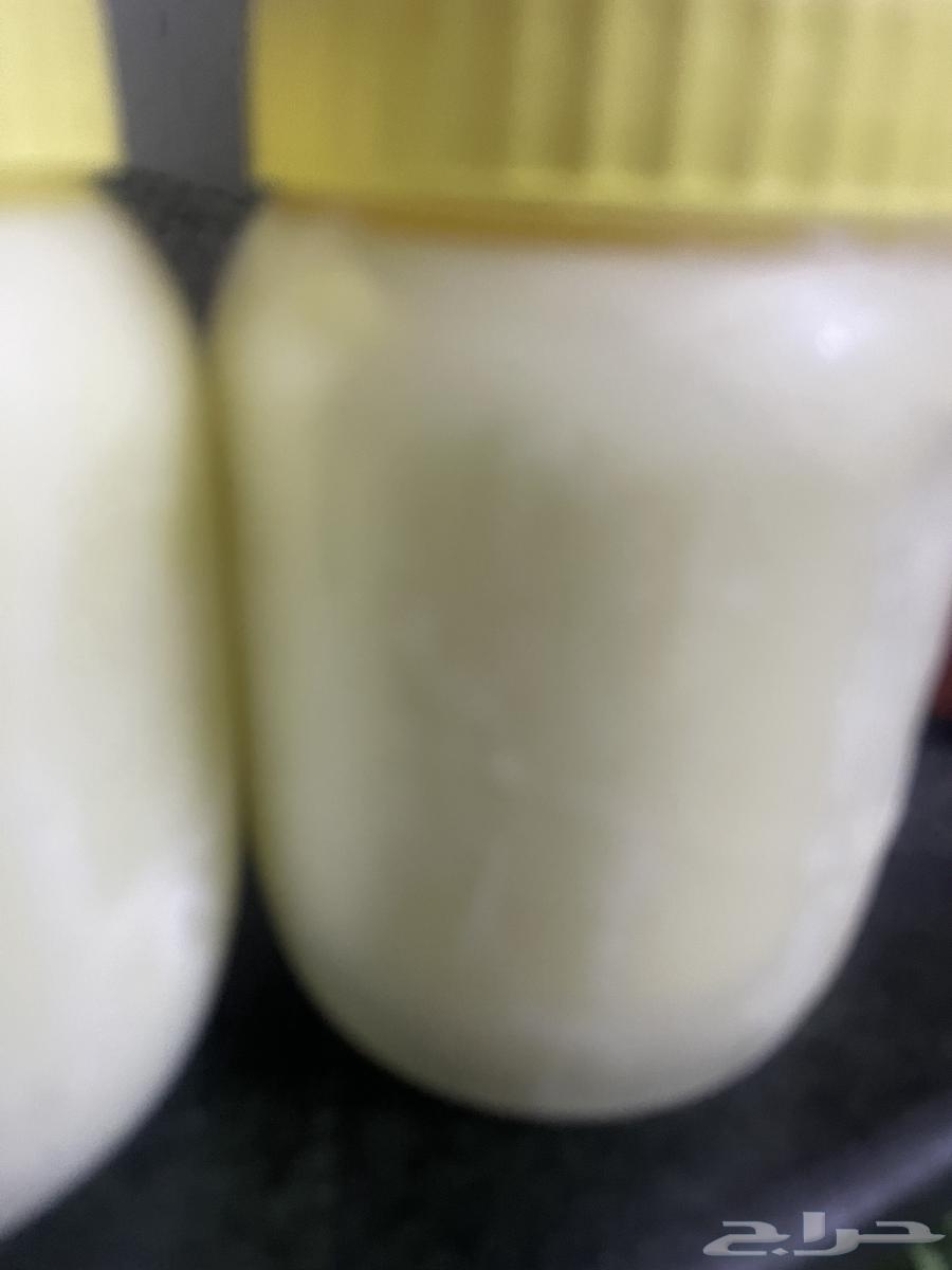 سمن غنم بري لذيذ ربيع هالسنه64231839493506111