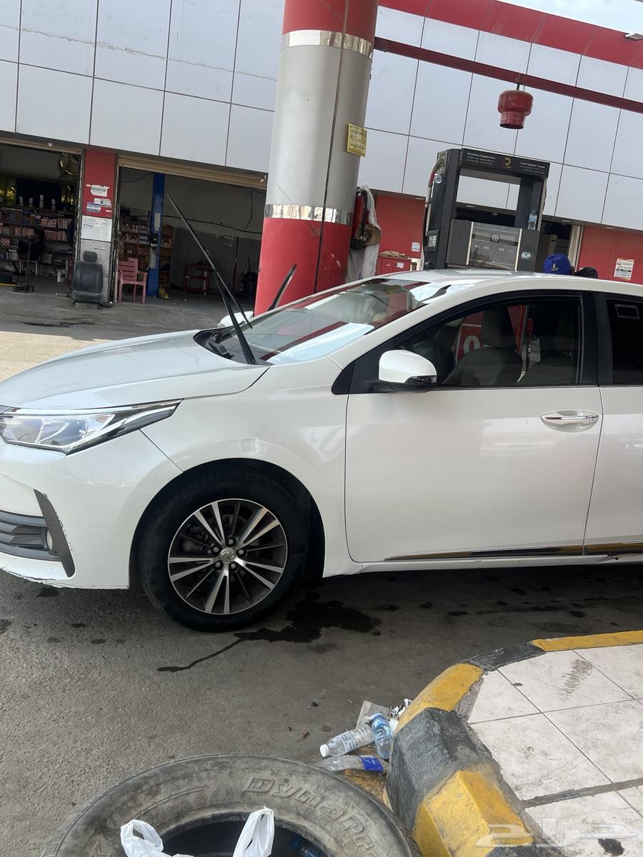 كورله نص فل بصمه201764412588821761111