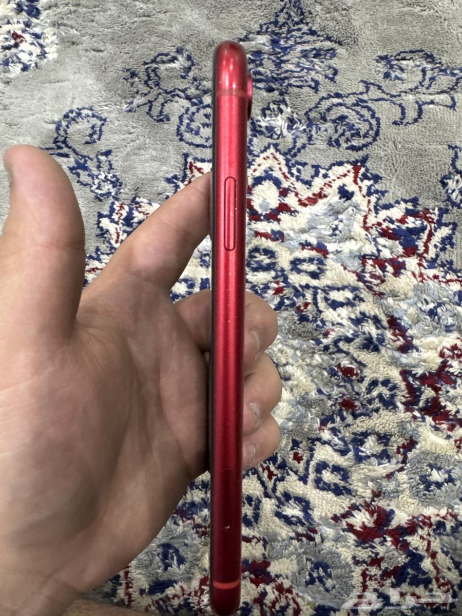 iPhone XR64234121217153113