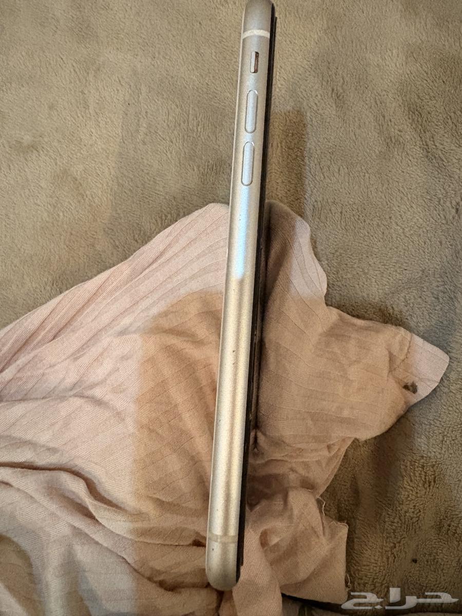 iPhone 11 Regular White Color64242629565826113