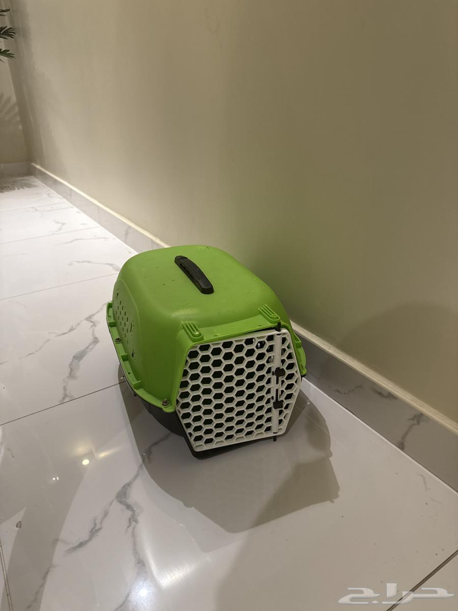 New cat items64234619845121111