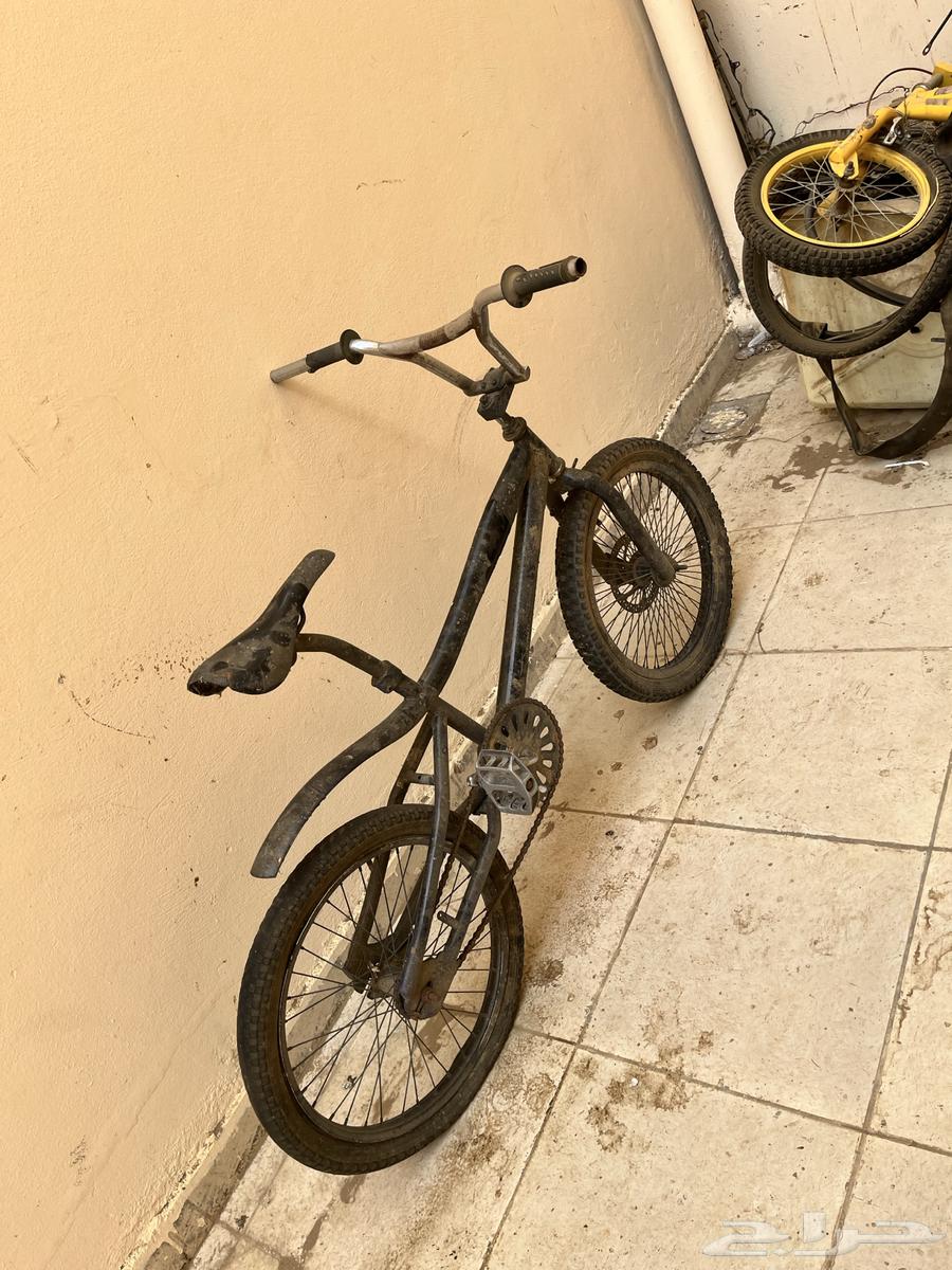 Cyclone Cobra64245797820162111