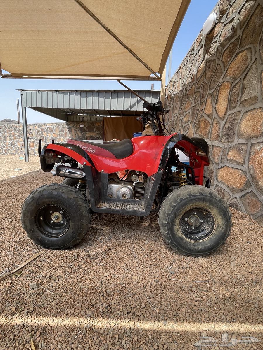 دباب للبيع64413904778627110