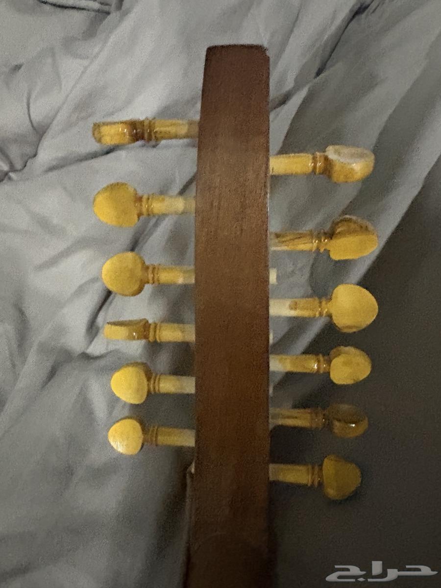 عود عزف مصري للبيع64246142048899113