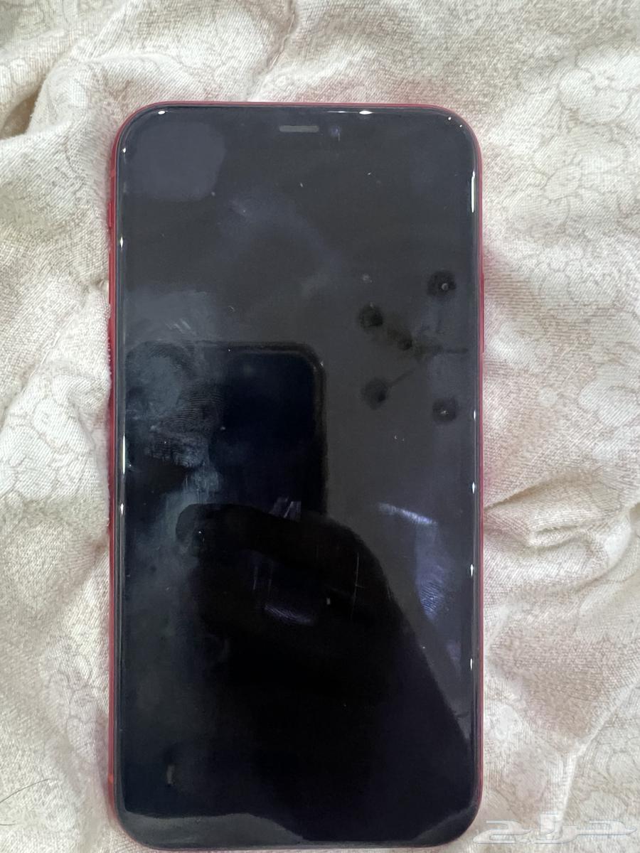 ايفون 11 احمر نظيف64251879100162114