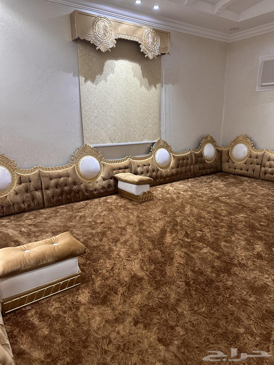 Council 5 in 464248697342338110