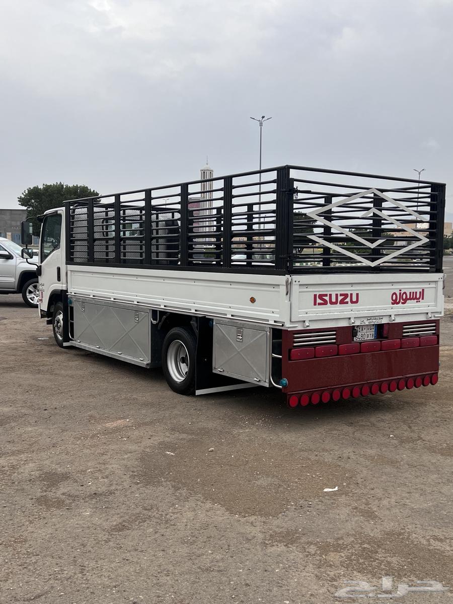 دينا سراة عبيدة64412695019650110