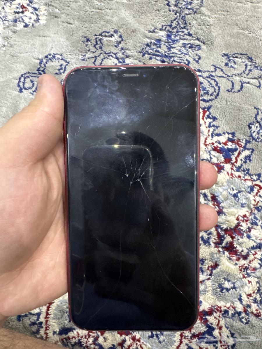 iPhone XR64234121217153114