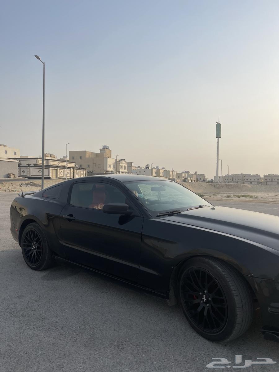 للبيع فورد موستنج 2014 ماشاءالله64414104073986114