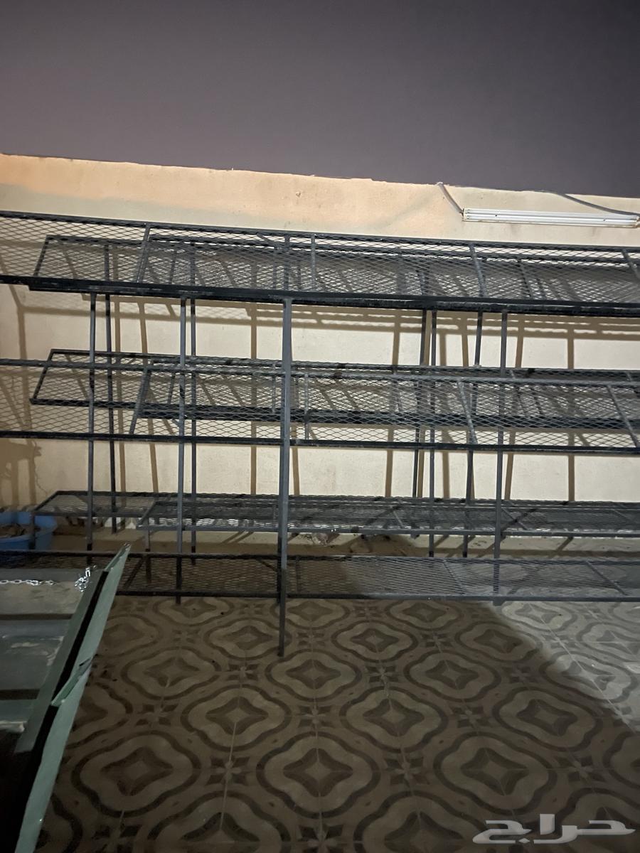 Vegetable and Date Shop Items64234284961282113