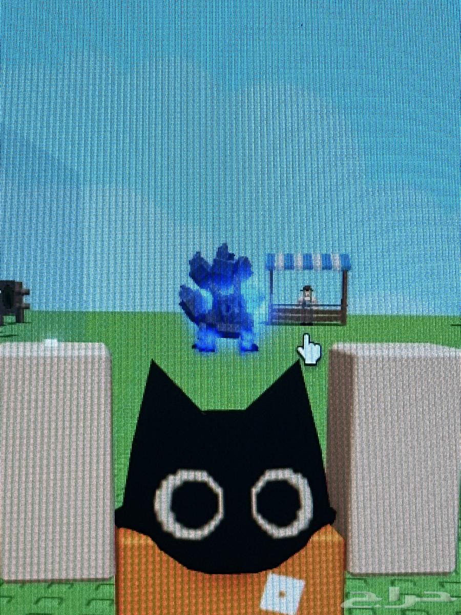 tiny kit كتسوني صغير64239899249153110