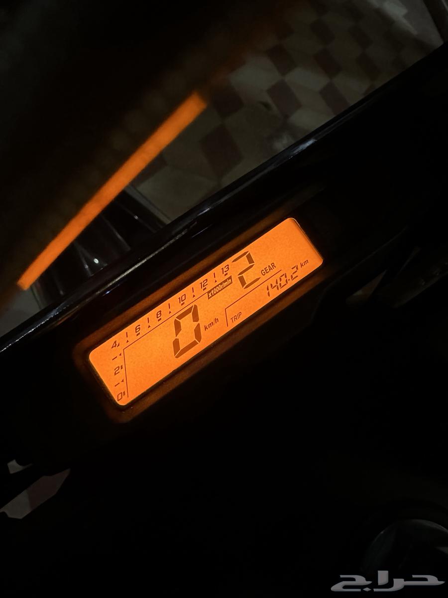 دباب صحراوي64419011648385113