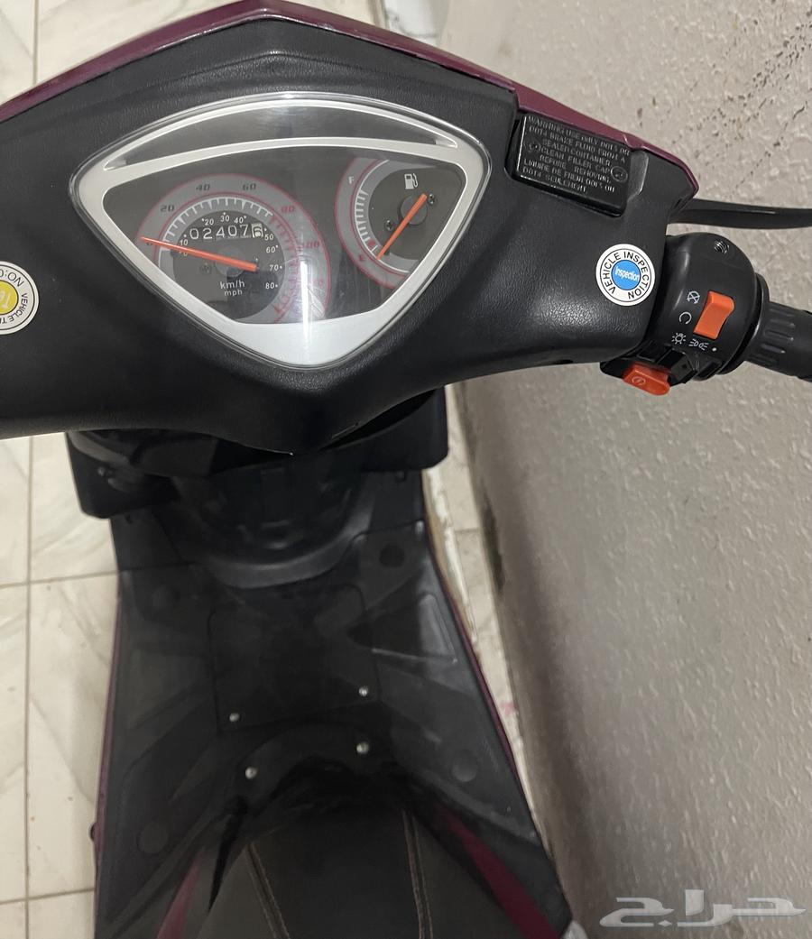 للبيع امبرته ام بلوف64417576584323113