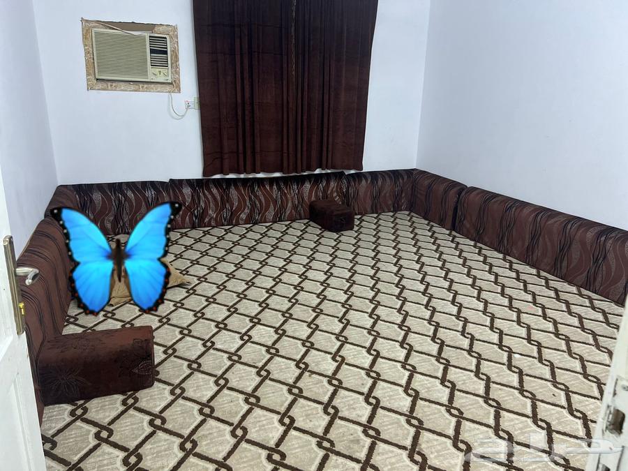 مجلس اسفنج نظيف جدا مع ستاره وسجاده بنفس اللون64234819053697110