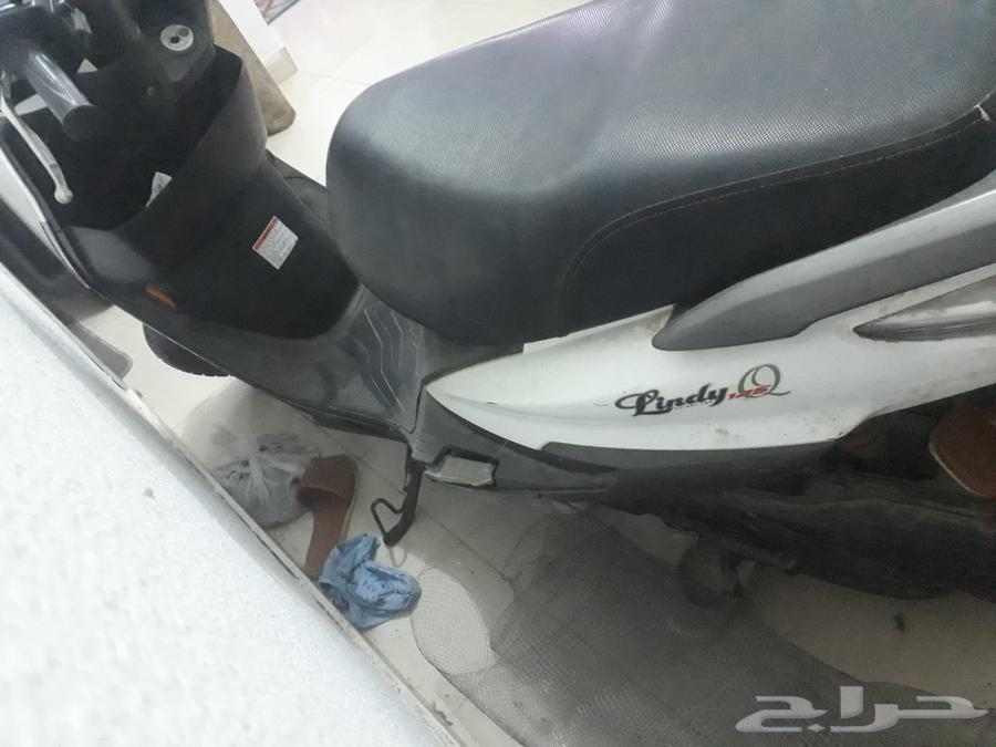 دباب64410812419459114