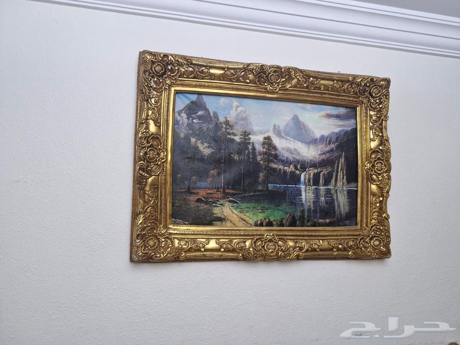 غرفة ضيوف للبيع   حي الربوة  جدة -64248894692098110