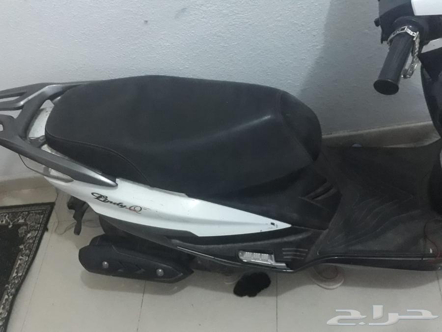 دباب64410812419459113