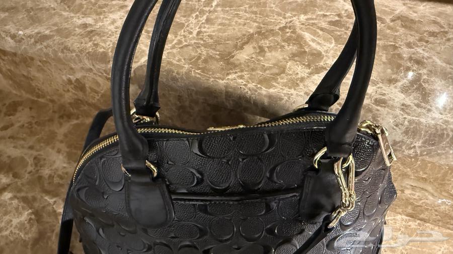 شطه كوتش اصليه للبيع64234297659395113