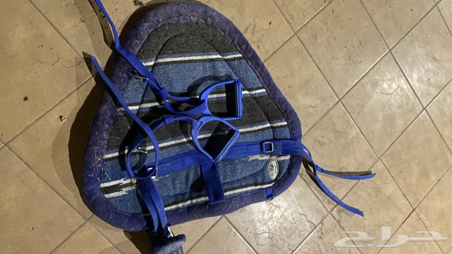 عدة خيل64235635906946111