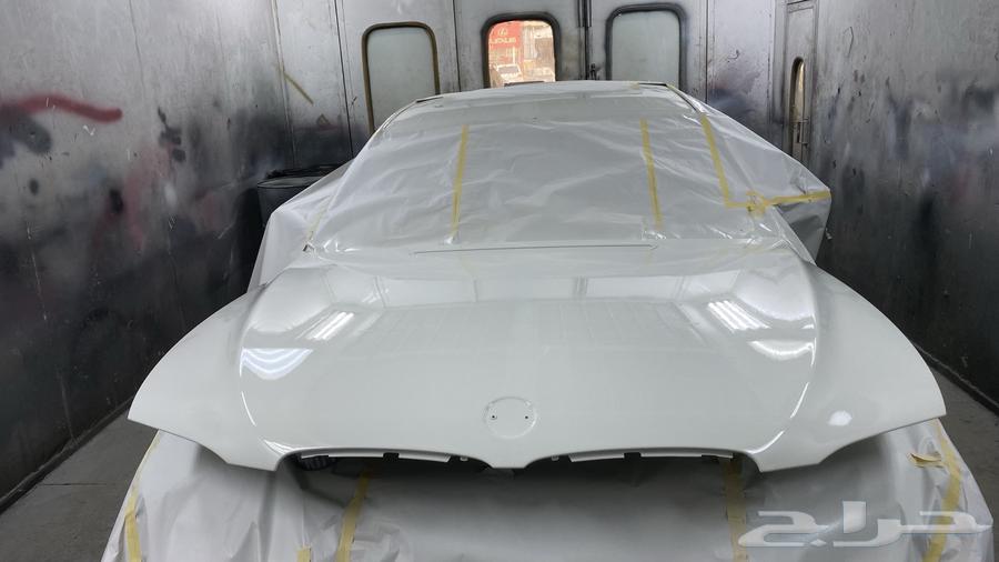 سمكرة بويا  تقيل Danting and painting64410509144322111