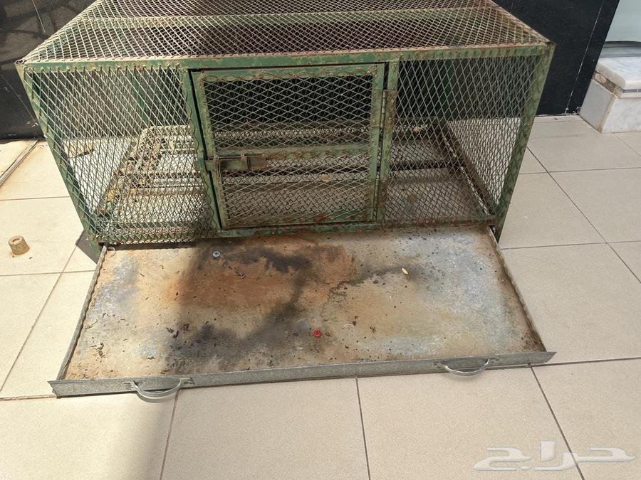 Small hole bird net64240726236419114