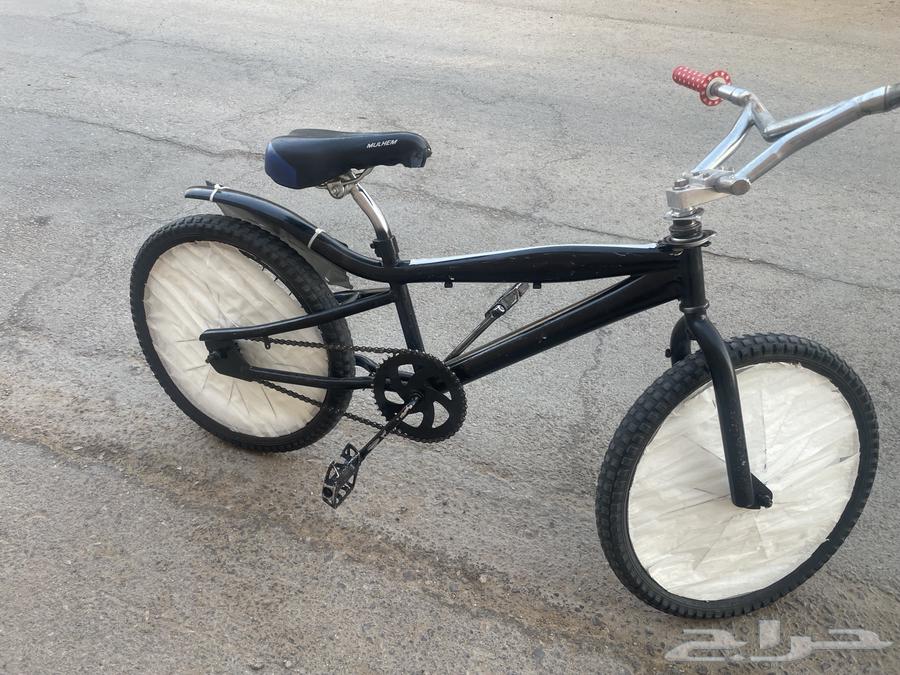 Original Cobra size 2064241253777155110